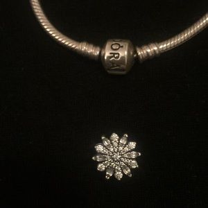 Pandora charm